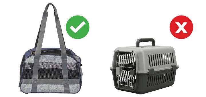 Pets in Cabin approved transportation carrier