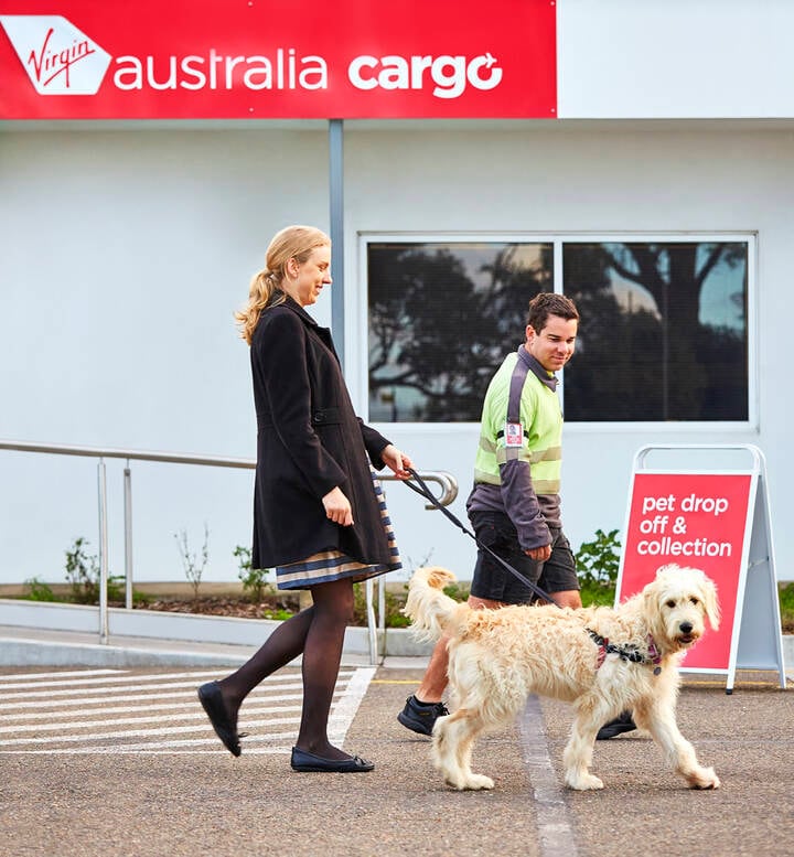 Woman walking pet dog to Virgin Australia Cargo drop off location