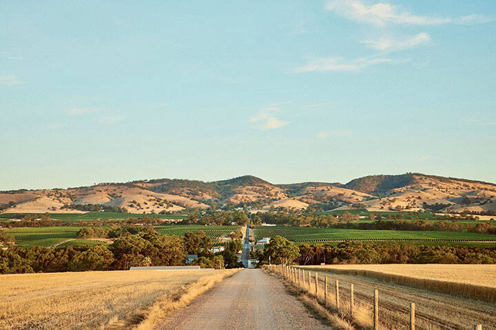 View of the landscape of the Barossa Valley, near Adelaide