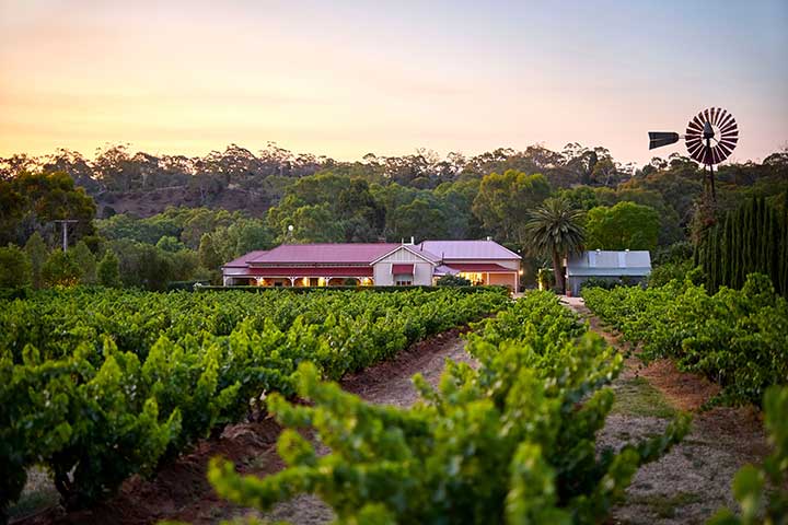 Winery in Barossa Valley, South Australia