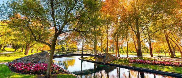 Rymill Park with bridge over the pond in Adelaide city on a sunny autumn day  