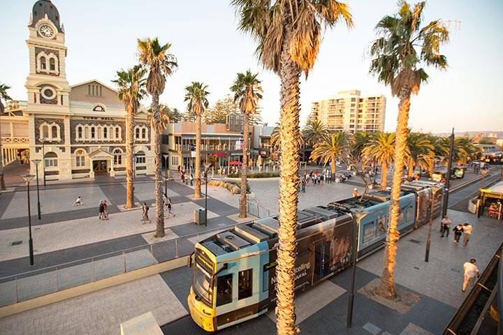 Getting around Adelaide – your guide to public transport, driving, and free trams