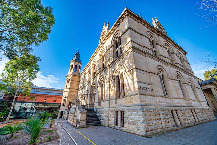 South Australian Museum