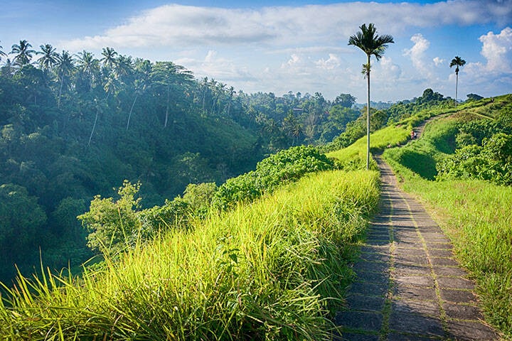 The Campuhan ridge walk in Ubud