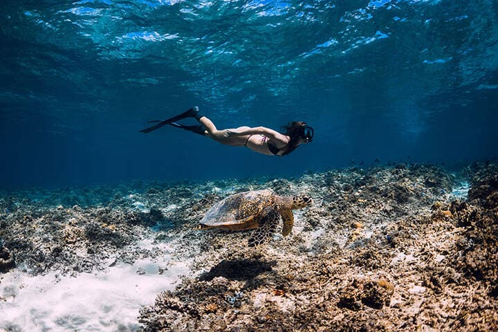 Woman freediver with fins glides underwater near sea turtle in Gili Trawangan