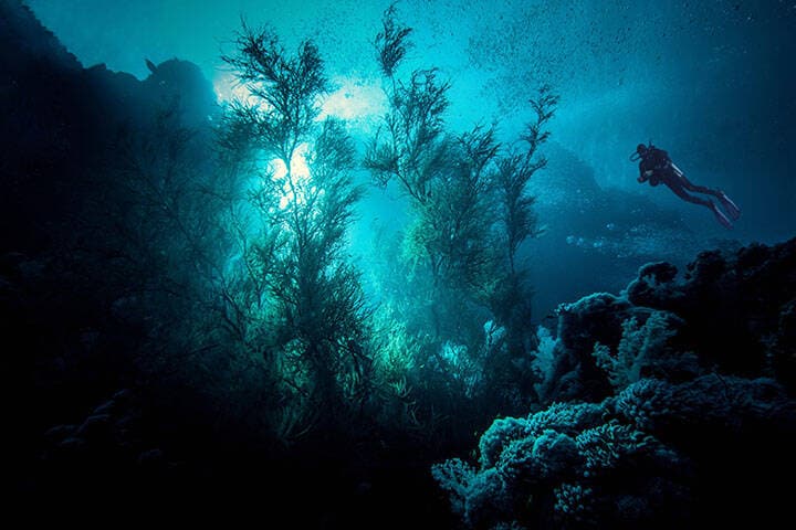 Diving at Menjangan island, Bali, Indonesia.