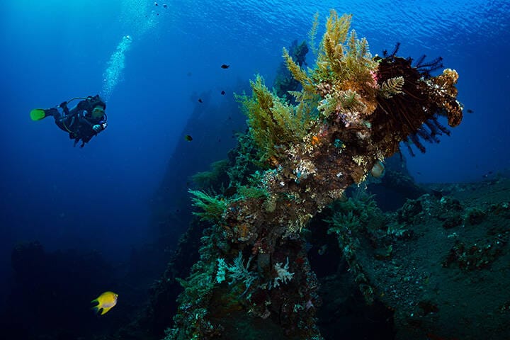 Woman diver on the wreck of the USS Liberty, Tulamben, Bali, Indonesia