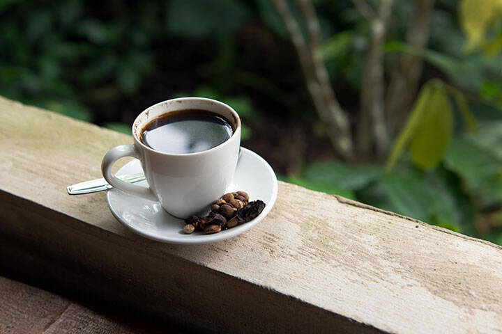 Kopi Luwak in Bali