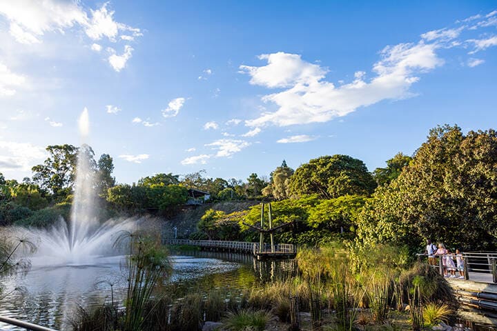 20+ Brisbane attractions to visit during your next trip