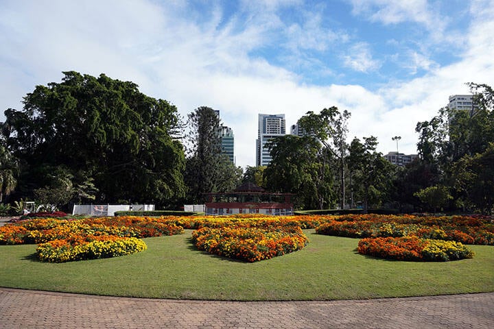 Brisbane city, as seen from the botanic garden