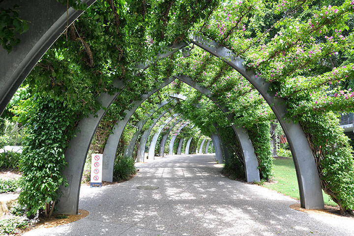 South Bank rainforest walk