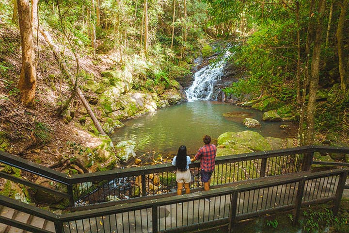 Couple looking at a small waterfall on the bush walk to Kondalilla Falls