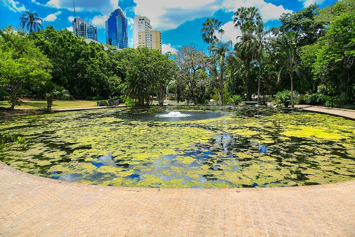 Brisbane City Botanic Gardens with Oakman's Lagoon, a  pond with fountain close to Brisbane city centre, Queensland, Australia.
