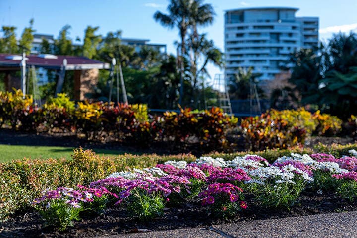 Flowers in the Roma parkland gardens