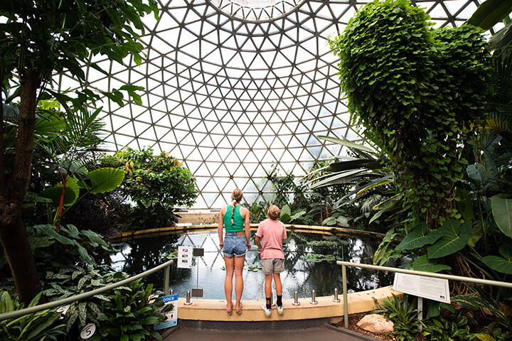 Two children looking at the plants within the Tropical Display Dome, located at the Brisbane Botanic Gardens