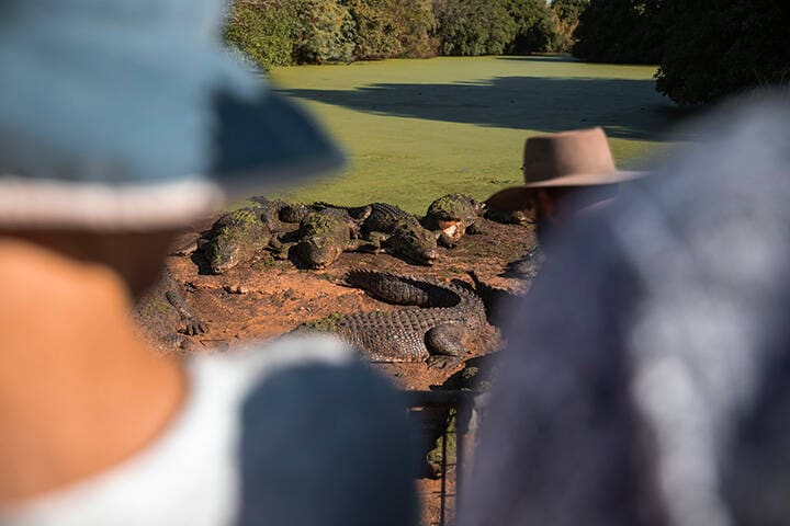 Malcolm Douglas Crocodile Park, Broome 