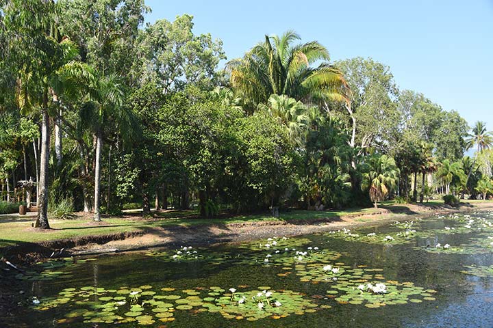 Cairns Botanic Gardens