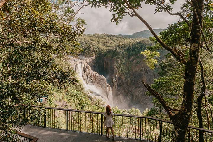 Barron Gorge National Park & Barron Falls Lookouts