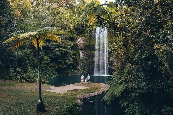 Family at Millaa Millaa waterfalls