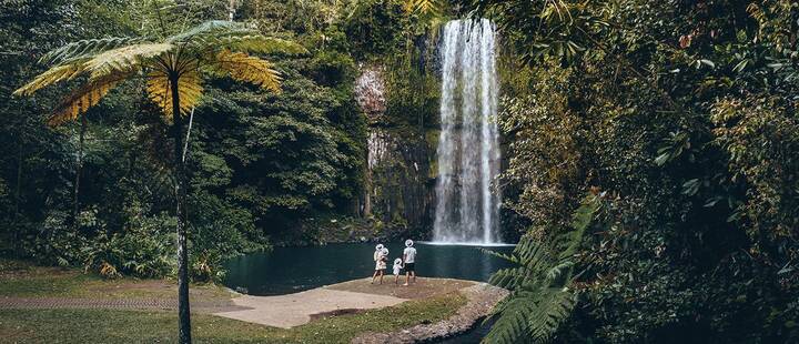 Family looking at Millaa Millaa Falls, surrounded by rainforest in Atherton Tablelands