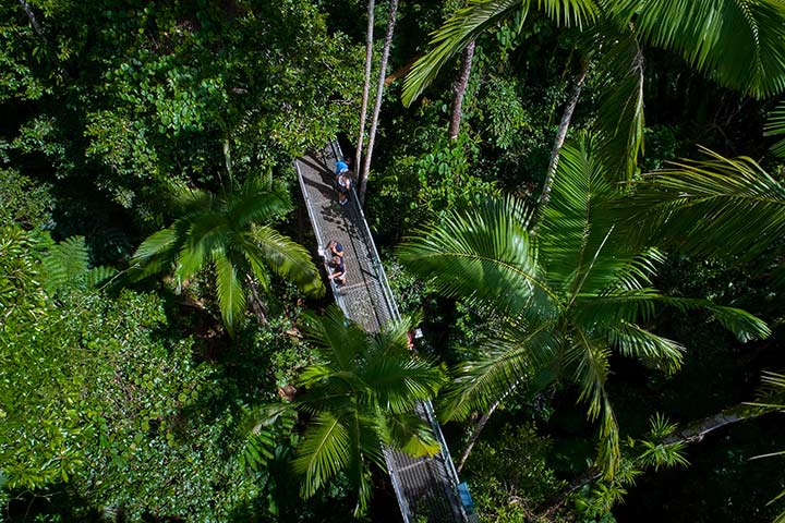 Daintree Rainforest & Cape Tribulation