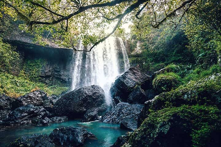 Zillie Falls - Falls located on the Waterfalls Circuit with Millaa Millaa and Ellinjaa Falls