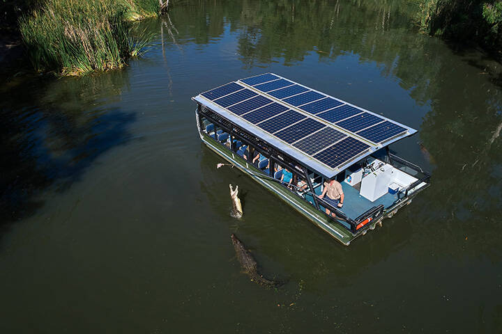 Aerial view of crocodile feeding from the boat cruise at Hartley's Crocodile Adventures