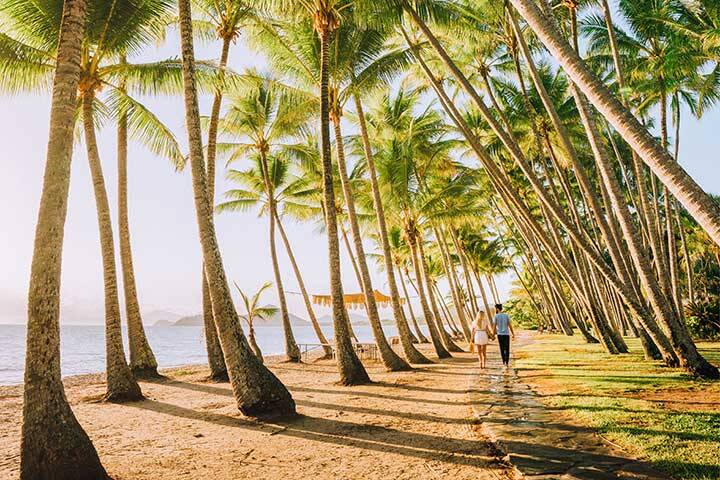 Couple walking between palm trees at Palm Cove