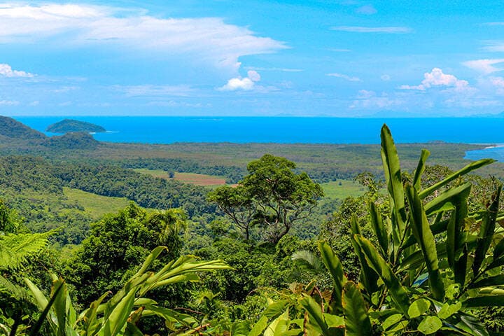 panoramic view over the australian rainforest with river and coastline, cairns australia  