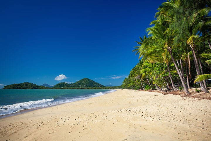 Palm trees on the tropical beach, Palm Cove, Australia