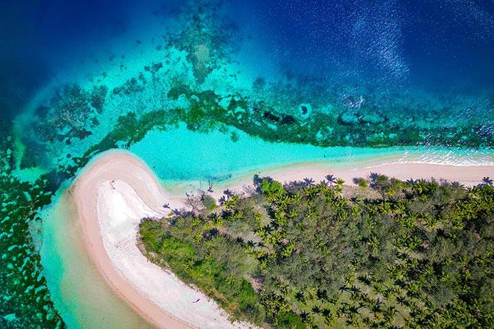 Top down view of tropical beach with palm trees, white sand and corals in the shallow turquoise water. Blue Lagoon, Yasawa Islands, Fiji. 