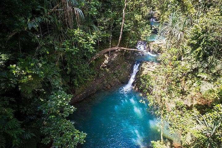 Colo-I-Suva Forest Park Reserve in Fiji 
