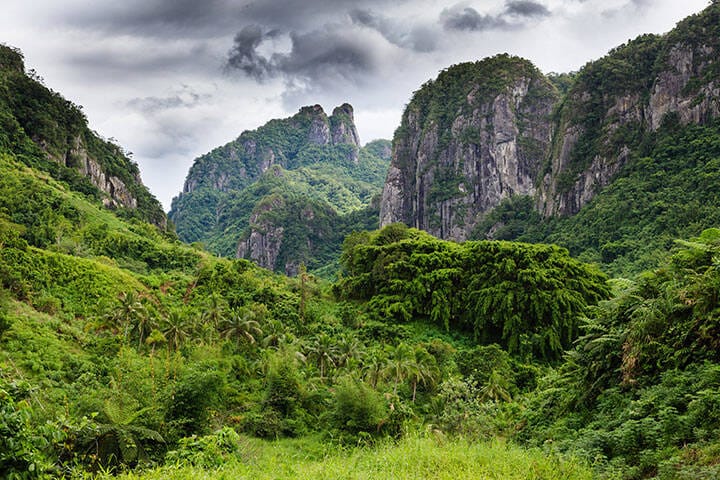 Forest and mountains on Viti Levu, Fiji