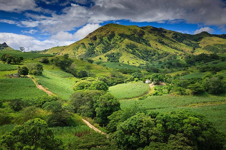 Greenery on Viti Levu, Fiji