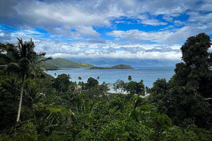 Rain forest, Taveuni Island, Fiji 