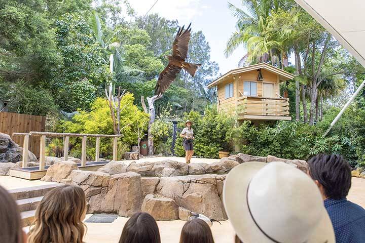 Currumbin Wildlife Sanctuary