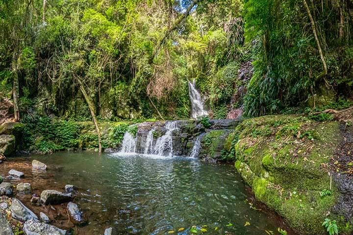 Elabana Falls, a secluded waterfall in Lamington National Park, Queensland, is a lush, rainforest retreat along the Toolona Creek circuit, Australia  