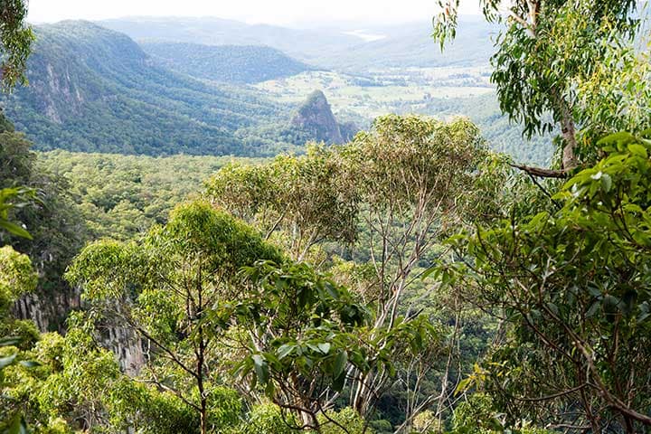 Lamington National Park, Gold Coast hinterland