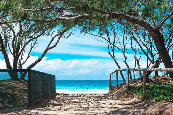 The view on ocean trough the beach entrance with wood fence and trees arch in Gold Coast, Australia  