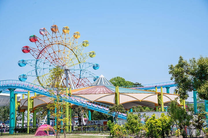 Ferris Wheel and rollercoaster at Gold Coast theme park