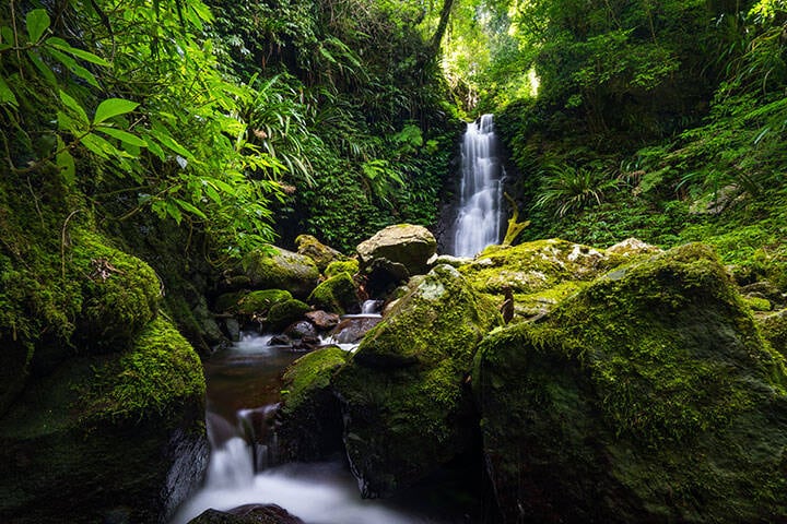 Waterfall in Lamington National Park  