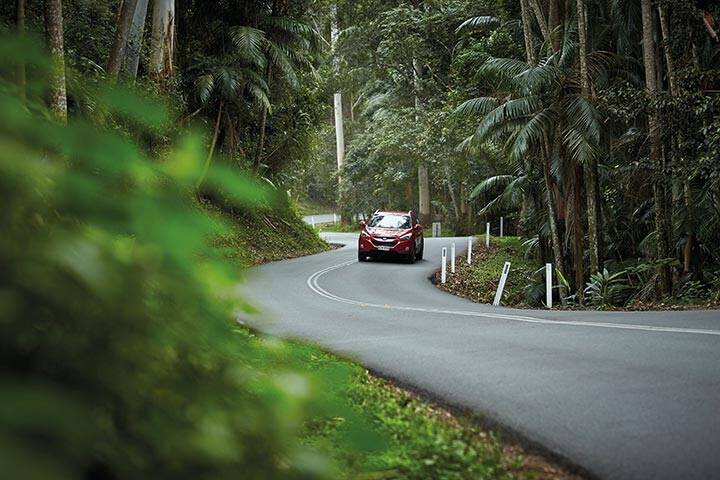 Road trip in Canungra Valley, 40 minutes from Gold Coast