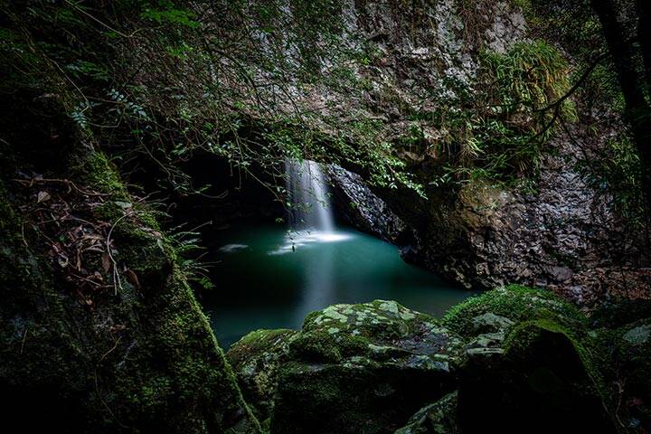 Cave and waterfall at Springbrook National Park