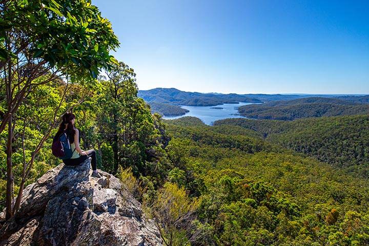 hiker admiring the panorama of advancetown lake and springbrook national park in gold coast, queensland