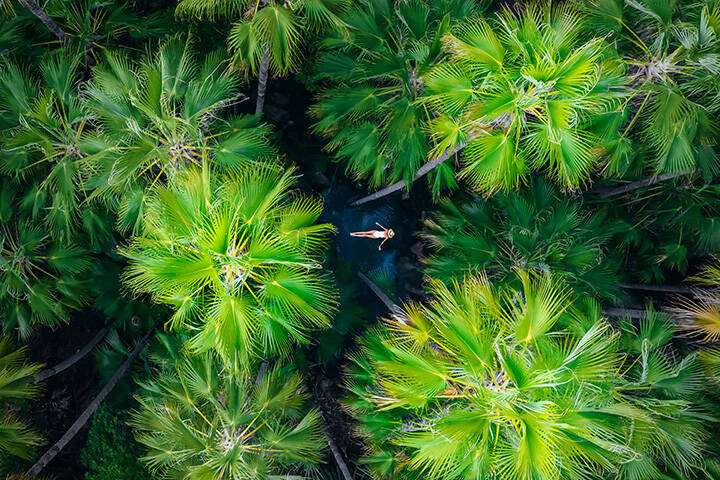 Day tours from Kununurra – 9 epic ways to explore the Kimberleys