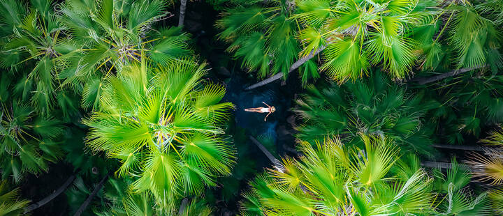 Traveller swimming at Zebedee Springs, El Questro. 