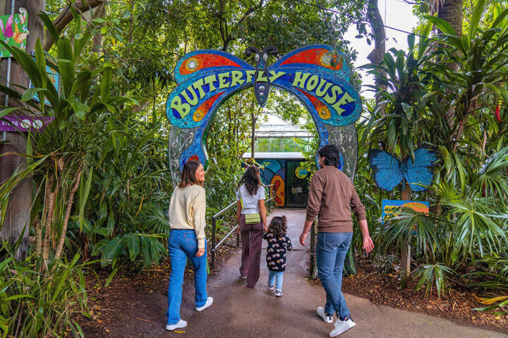 Family visiting the Butterfly House in Melbourne Zoo