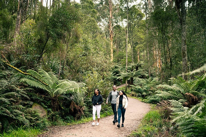 1000 steps / Kokoda Track Memorial Walk