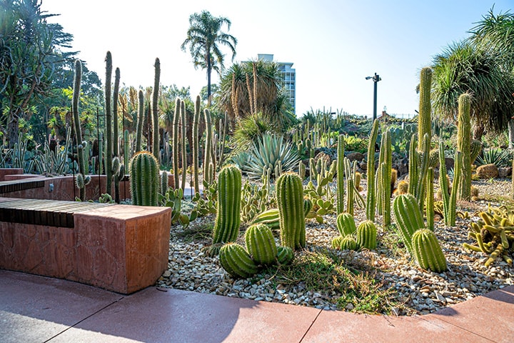 Royal Botanic Gardens