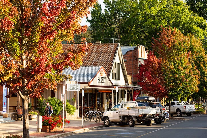 Streets of Bright with autumn leaves